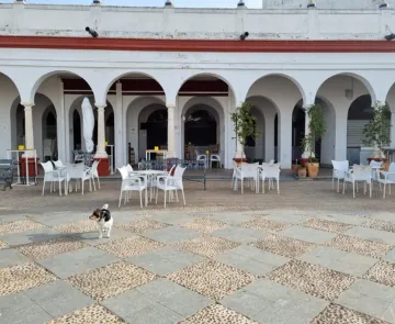 Terraza de la Vinoteca El Claustro en la Plaza de Abastos