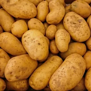 Patatas de cosecha propia