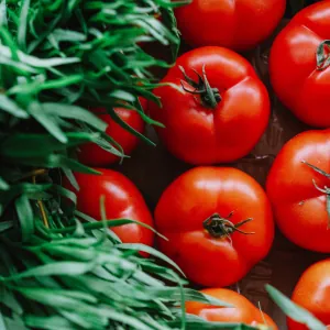 Tomates y hortalizas frescas