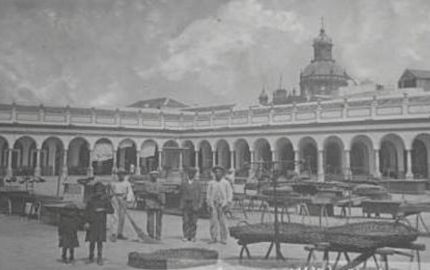 Puestos del mercado en la Plaza de Abastos de Carmona a principios del siglo XX